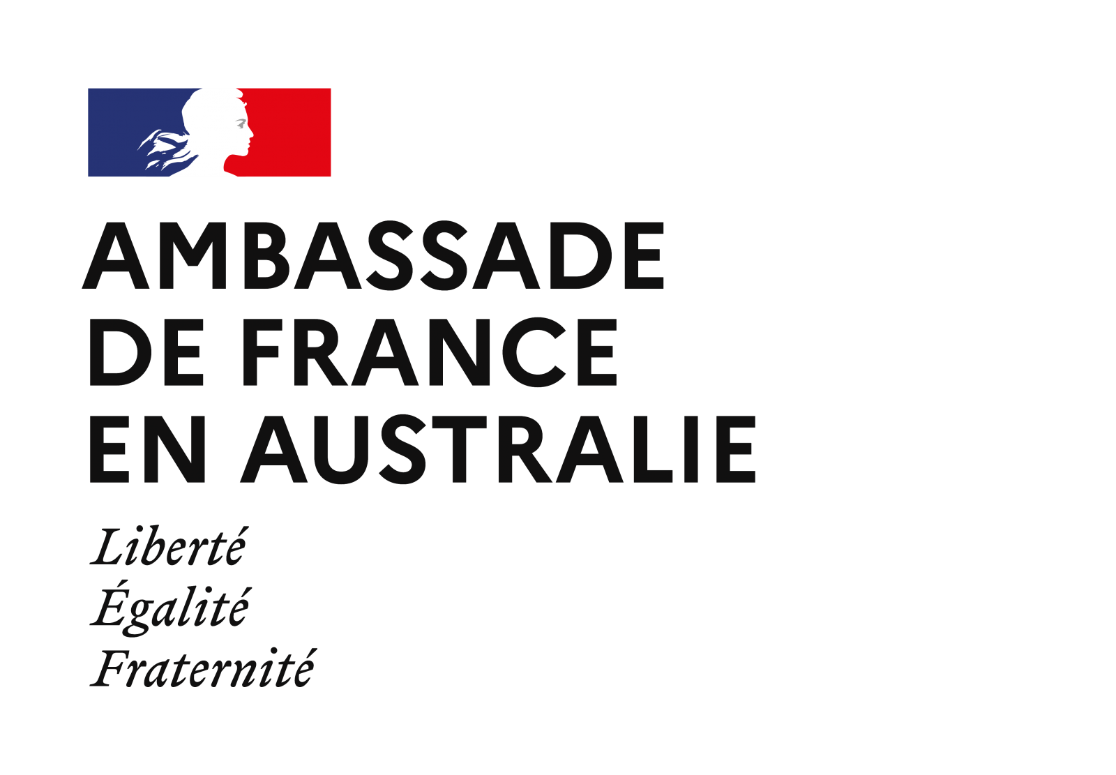 France Embassy logo